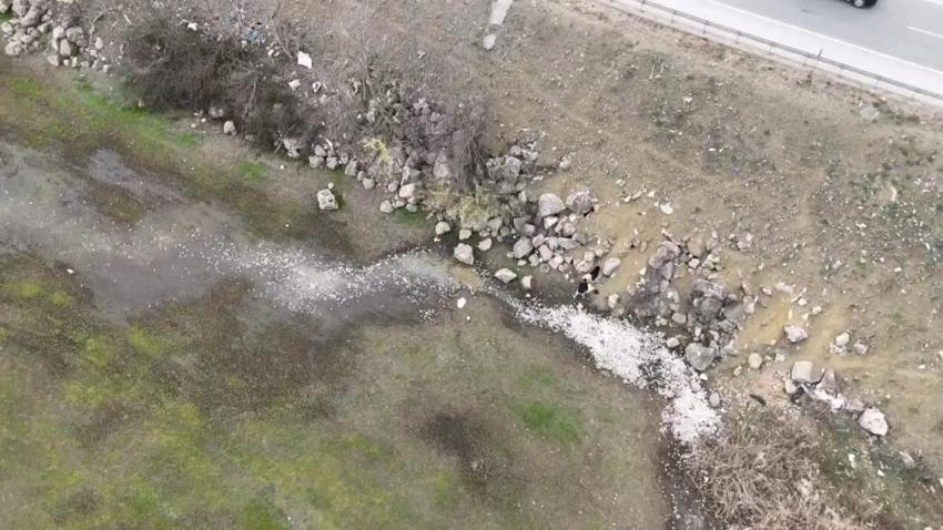 Bursa'da tedirgin eden görüntü! Sular çekildi, binlerce balık telef oldu