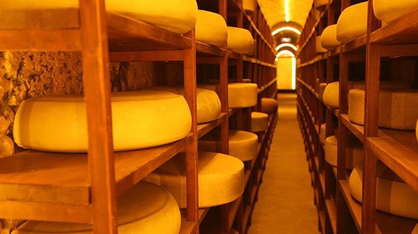 Kars'taki Peynir Müzesi'nde dikkat çeken makine! 120 yaşındaki eseri görenler maziye gidiyor