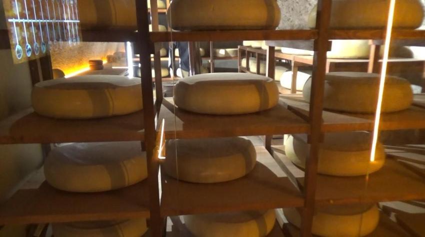 Türkiye'de sadece Kars'ta bulunuyor! Eşi, benzeri yok, 3 ayda 25 bin kişi ziyaret etti
