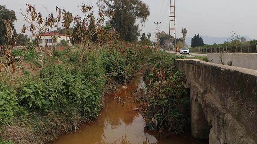 Ceyhan Nehri yok oluyor! Mahallelerden akan kirli su, dere ve nehirlerin rengini değiştirdi