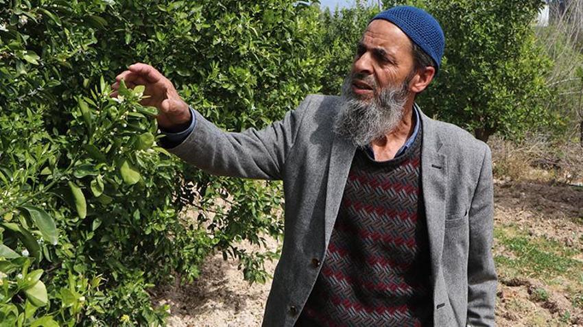 Ceyhan Nehri yok oluyor! Mahallelerden akan kirli su, dere ve nehirlerin rengini değiştirdi