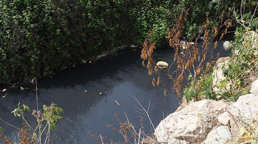Ceyhan Nehri yok oluyor! Mahallelerden akan kirli su, dere ve nehirlerin rengini değiştirdi
