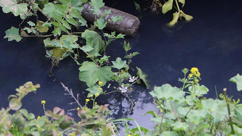 Ceyhan Nehri yok oluyor! Mahallelerden akan kirli su, dere ve nehirlerin rengini değiştirdi