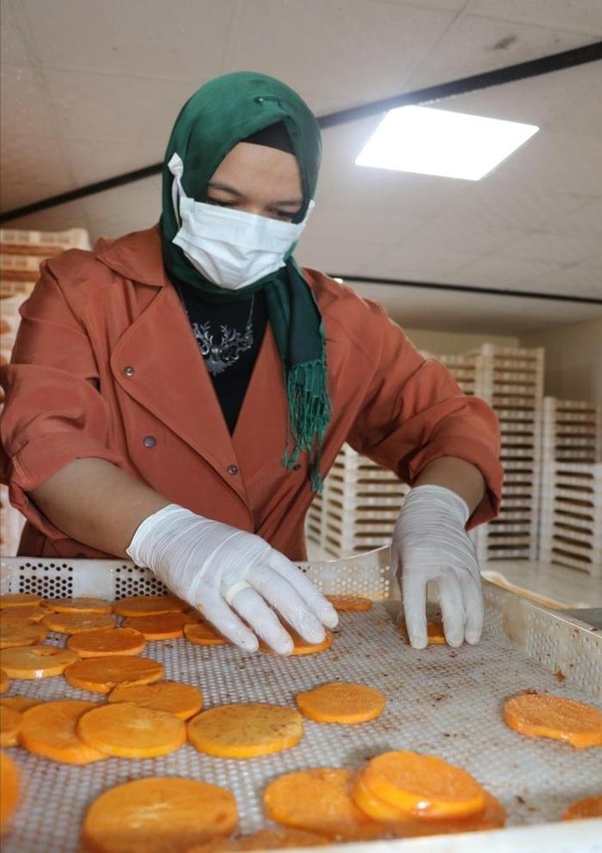 İşsiz kaldıktan sonra keşfetti, üretimi 50 dönüme çıkarttı! Kilosu 100 liraya 15 ton satıyor: İspanya'ya bile ihracatı var