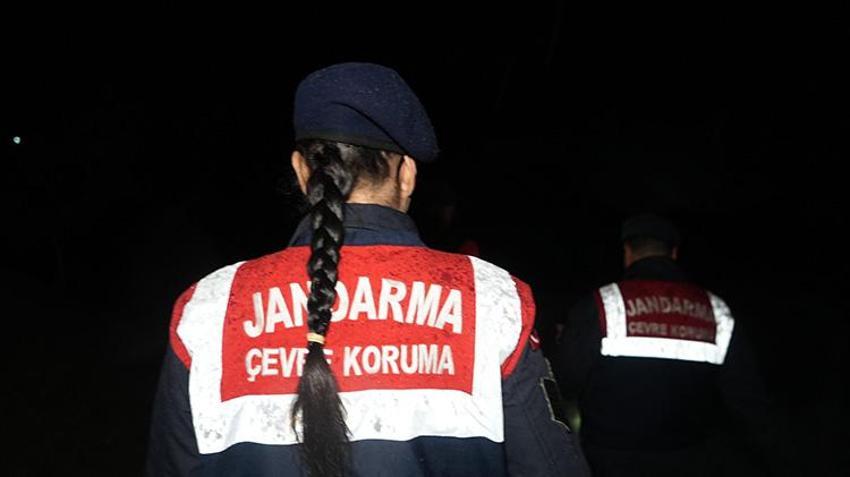 Kırıkkale'de 'koku' faciası! Onlarca küçükbaş hayvan telef oldu! 