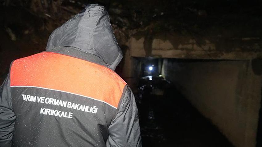 Kırıkkale'de 'koku' faciası! Onlarca küçükbaş hayvan telef oldu! 