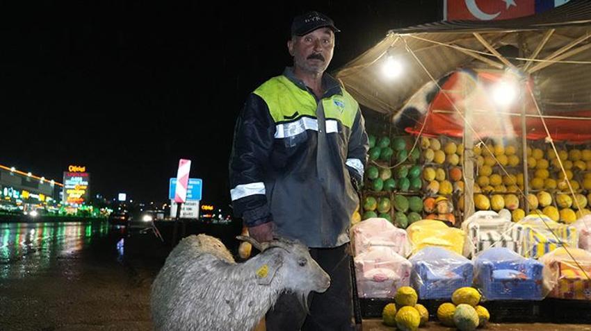 Kırıkkale'de 'koku' faciası! Onlarca küçükbaş hayvan telef oldu! 