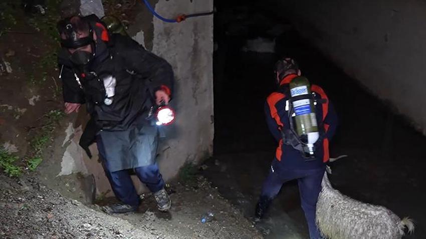 Kırıkkale'de 'koku' faciası! Onlarca küçükbaş hayvan telef oldu! 