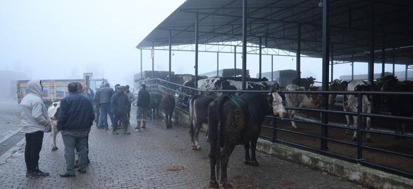 Aydın'da doğal ve sağlıklı yaşam kıymetlendi! Gıdaki hileler ortaya çıkınca ailelerin tercihi değişti