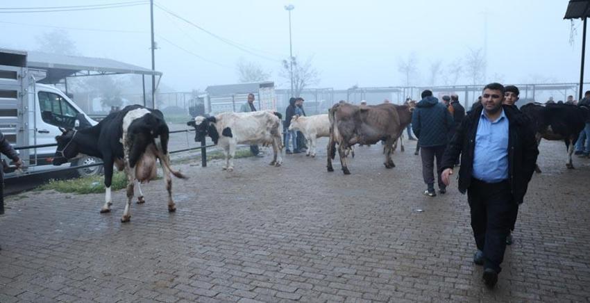 Aydın'da doğal ve sağlıklı yaşam kıymetlendi! Gıdaki hileler ortaya çıkınca ailelerin tercihi değişti