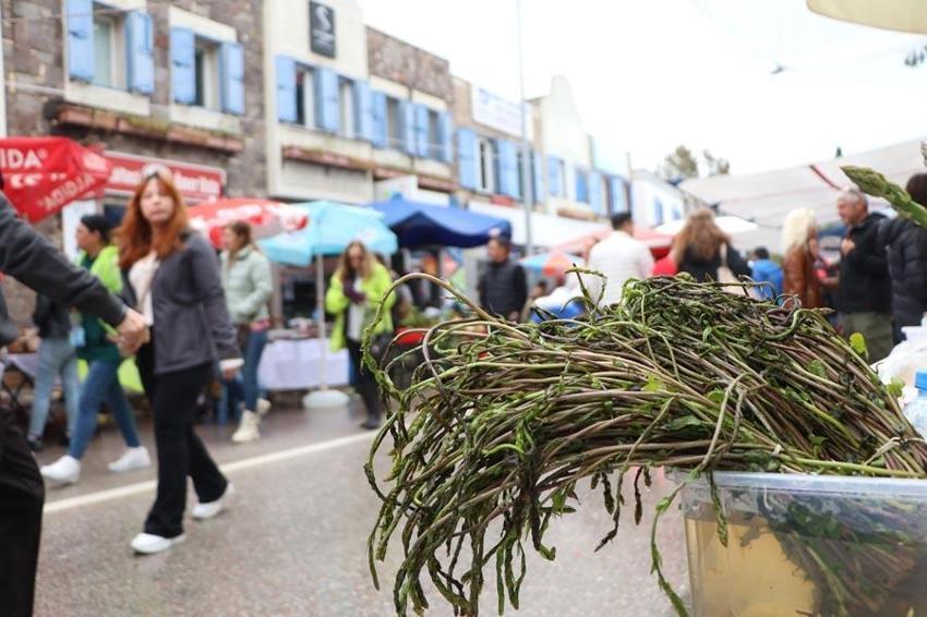 Bodrum Acı Ot Festivali yağmura rağmen yoğun ilgi görüyor