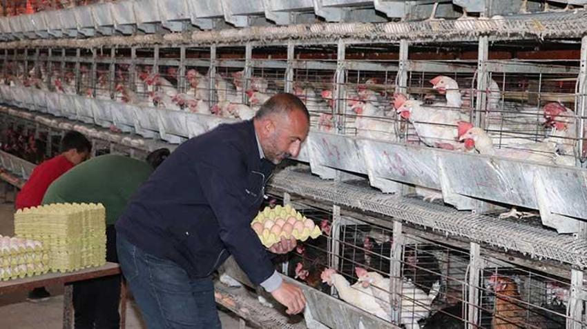 Çadırda başladı, şimdi talebe yetişemiyor! İşte Erzurumlu girişimcinin ilham veren hikayesi...