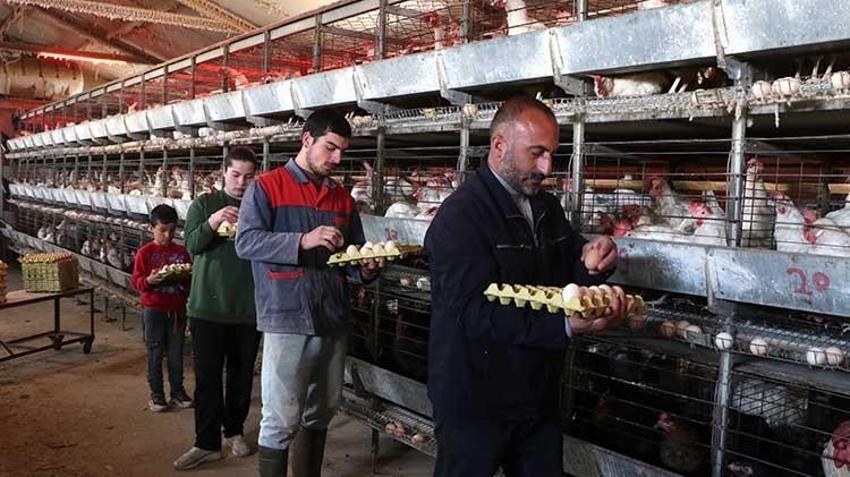 Çadırda başladı, şimdi talebe yetişemiyor! İşte Erzurumlu girişimcinin ilham veren hikayesi...