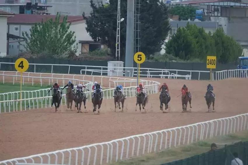 Adana’da Akdeniz Derbisi! Kazanan ‘Dapper Man’ oldu