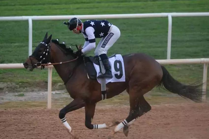 Adana’da Akdeniz Derbisi! Kazanan ‘Dapper Man’ oldu