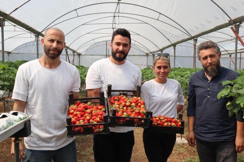 4 ortak işe girişti, 2 dönümle üretimi 12 tona çıkarttılar! Bir video ile başlayan girişim 365 gün kazanca dönüştü