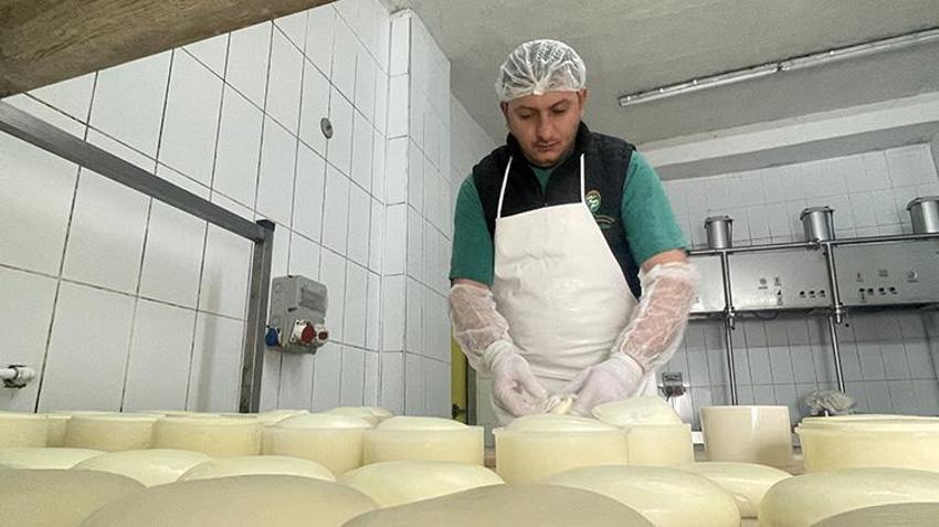 Cumhuriyetin kuruluşundan bugüne en kaliteli peynirlerin merkezi Kars'ta, yılda 700 bin tona yakın süt işleniyor 