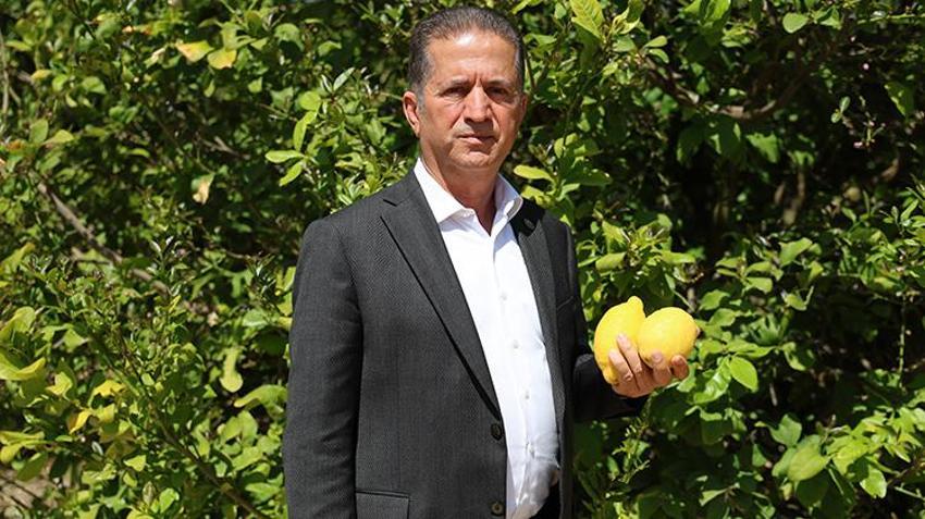 Limonda stokçuların oyunu ortaya çıktı! 'Yeni sezona kadar ülkemize yeter ve artar'