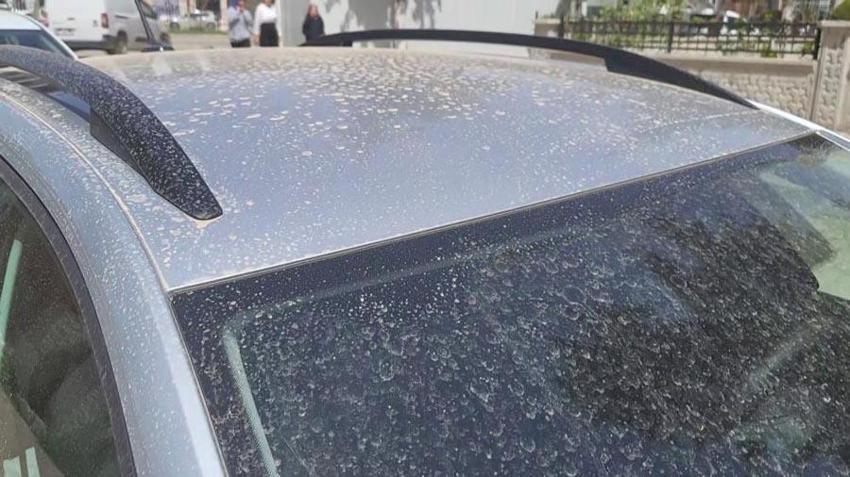 Muş'ta toz taşınımının yağmurla çamura dönüşmesiyle vatandaşlar soluğu oto yıkamacılarda aldı