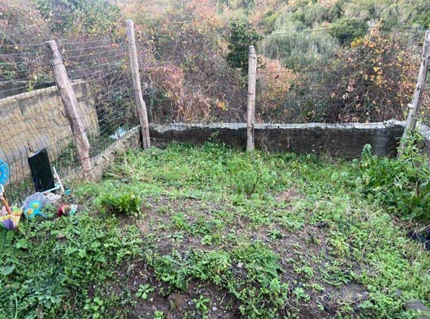 Ömrü boyunca dedesi olarak bildiği kişi ölüm döşeğinde babası olduğunu itiraf etti, hukuk mücadelesi başlattı