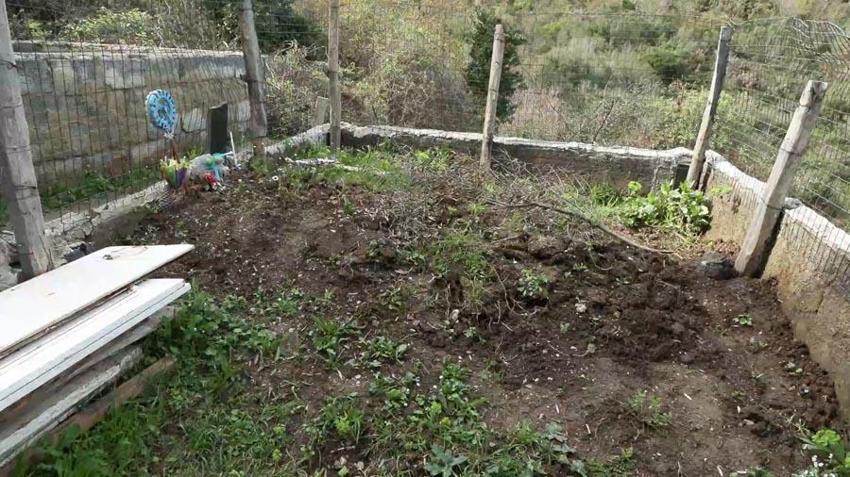 Ömrü boyunca dedesi olarak bildiği kişi ölüm döşeğinde babası olduğunu itiraf etti, hukuk mücadelesi başlattı