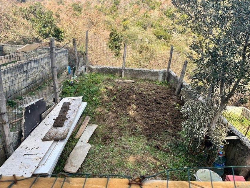 Ömrü boyunca dedesi olarak bildiği kişi ölüm döşeğinde babası olduğunu itiraf etti, hukuk mücadelesi başlattı
