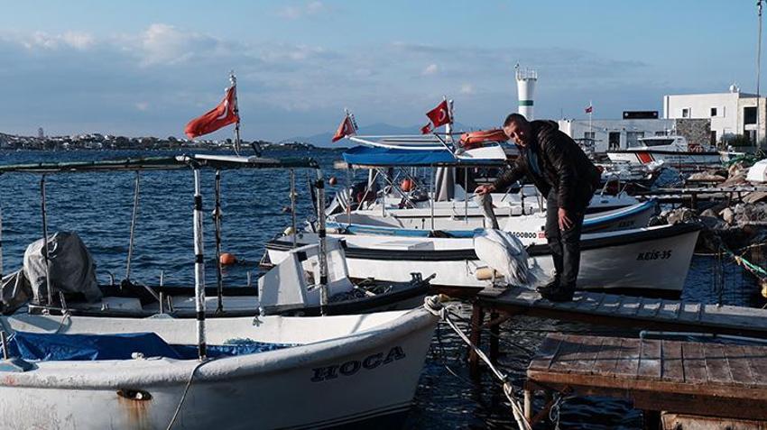 Yaralı halde sığındı, 4 yıldır ayrılmıyor: Pelikan Tosun, Foça'nın maskotu oldu