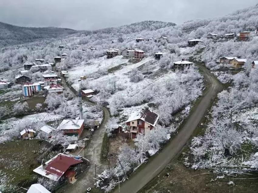Yemyeşil doğa beyaz örtüyle bütünleşti! Bir şehir aynı anda iki mevsimi yaşıyor