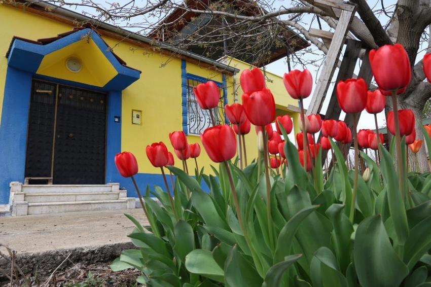 Evini tuttuğu takımın renklerine boyadı! 'En büyük hayalim Fenerbahçe'yi evimde ağırlamak'