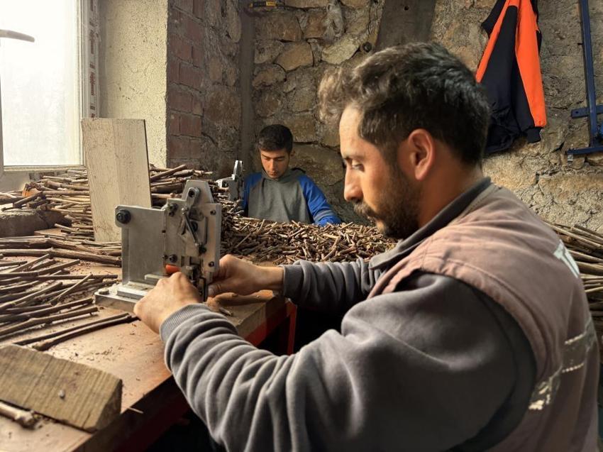 Tokat'ta üretilen narenciye üzümü fideleri 35 ile gönderiliyor