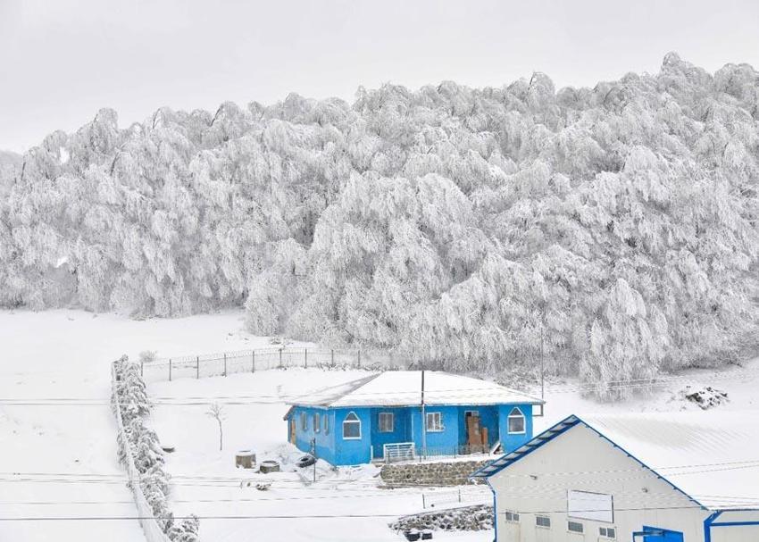 Lapa lapa kar yağışı, gök gürültülü sağanak ve don uyarısı! Meteoroloji illeri ve bölgeleri tek tek açıkladı