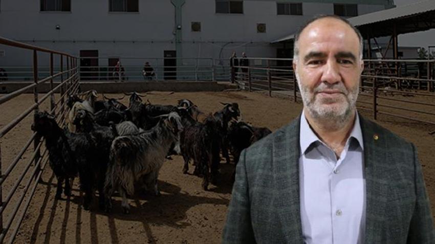Devlet destek verdi, üretim iki katına çıktı! Hepsini marketlere satacak