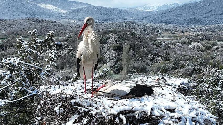 Nisan ayında Anadolu beyaza büründü! İşte tek tek kar yağışının etkili olduğu şehirler