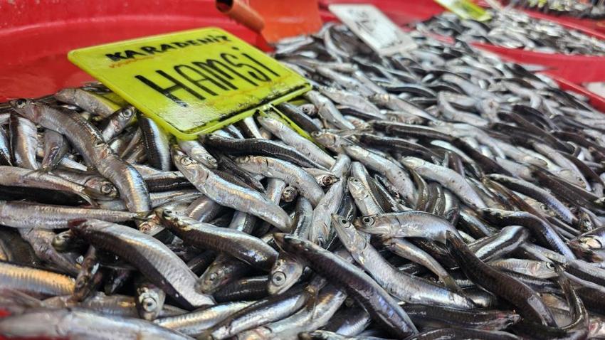 Tüm Türkiye'de yasak başlıyor! Sayılı günler kaldı, fiyatlar artacak