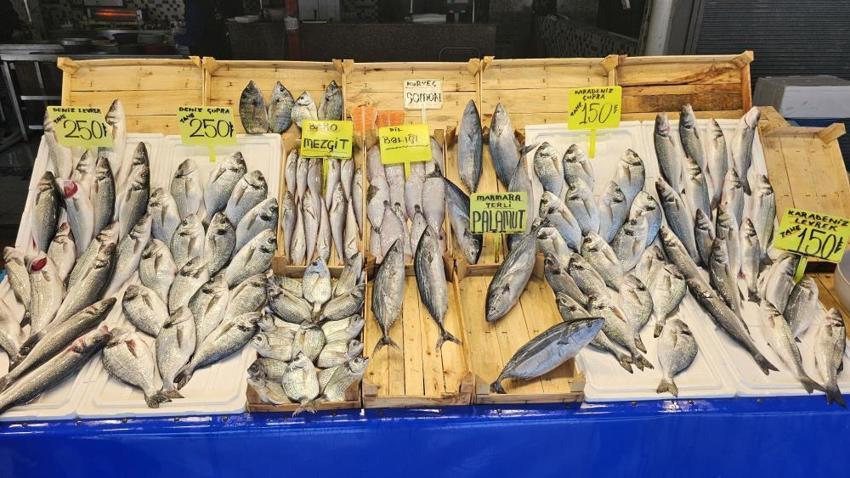 Tüm Türkiye'de yasak başlıyor! Sayılı günler kaldı, fiyatlar artacak