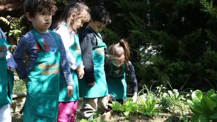 Anaokulu öğrencileri kendi yemeklerini kendi hazırlıyor