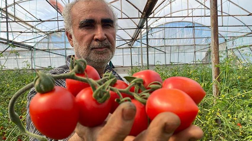 Üreticiden fiyat farkına tepki: Bizden 15 TL'ye alınıyor marketlerde 70 TL'ye satıyorlar
