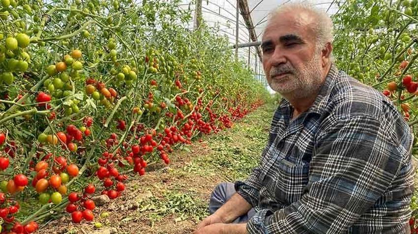 Üreticiden fiyat farkına tepki: Bizden 15 TL'ye alınıyor marketlerde 70 TL'ye satıyorlar