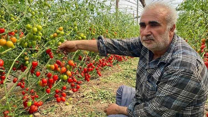 Üreticiden fiyat farkına tepki: Bizden 15 TL'ye alınıyor marketlerde 70 TL'ye satıyorlar