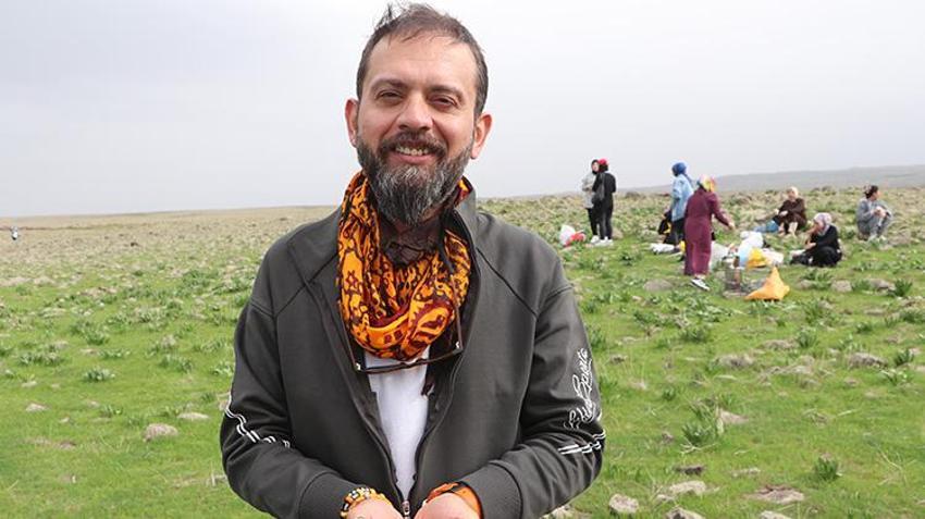 Karacadağ eteklerinden sofraya! Baharın gelmesiyle toplamaya başladılar