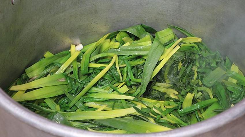 Karacadağ eteklerinden sofraya! Baharın gelmesiyle toplamaya başladılar