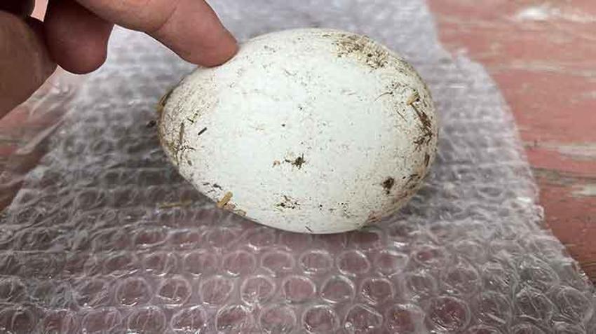 Yeni gelir kapısı oldu! Çiftçiler talebe yetişemiyor 