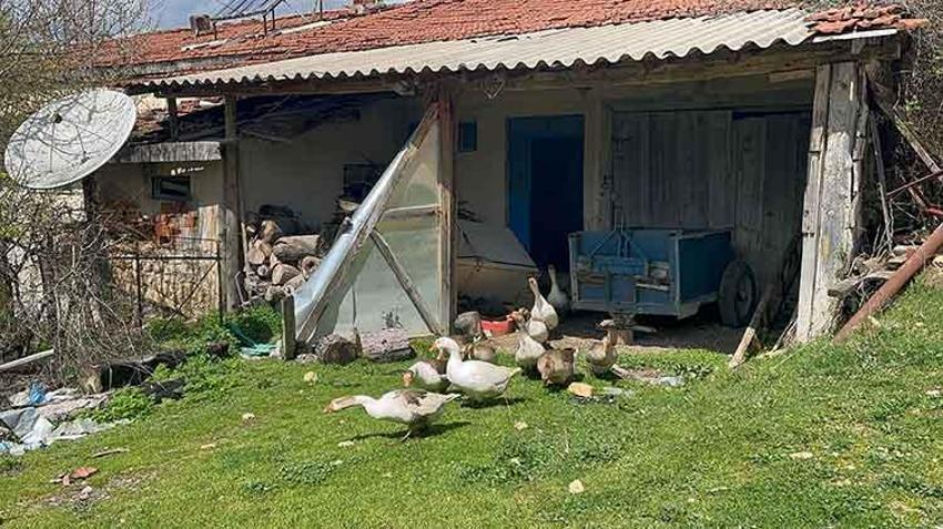 Yeni gelir kapısı oldu! Çiftçiler talebe yetişemiyor 