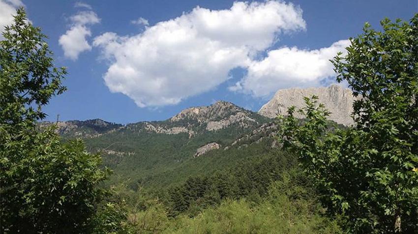 Burası İsviçre değil Adana'da! Bakanlık onayladı: Adana'nın en serin yeri burası oldu: Çukurova sıcağından bunalanlar akın ediyor