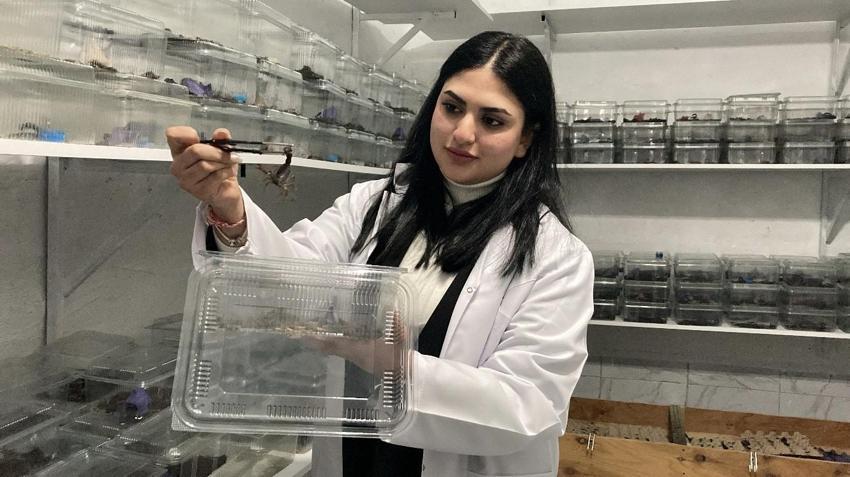 İnternetten video izlerken yeni işini buldu! Genç girişimci kimsenin cesaret edemediğini yaptı, paraya para demiyor