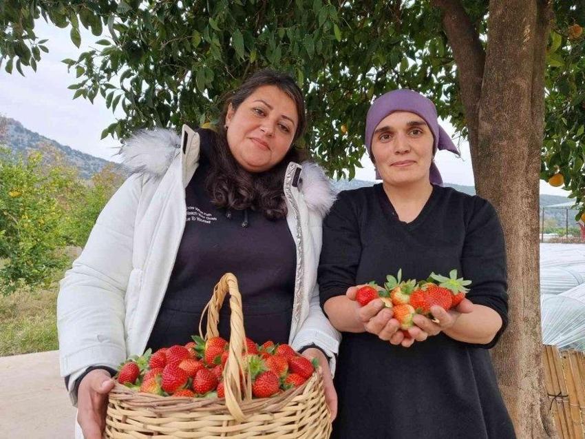 Eşini bu işe zor ikna etti, 5 dönüm araziyle ihracata başladı! Haftada 300 kilo üretip kilosunu 80 liraya satıyor!