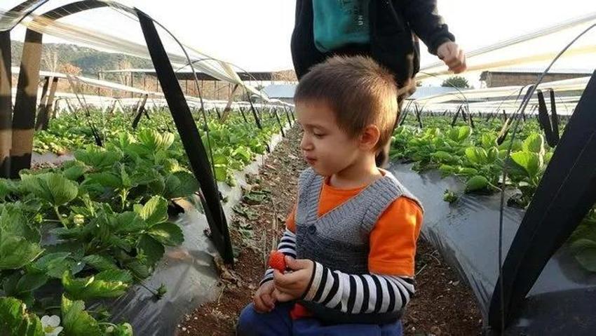 Eşini bu işe zor ikna etti, 5 dönüm araziyle ihracata başladı! Haftada 300 kilo üretip kilosunu 80 liraya satıyor!