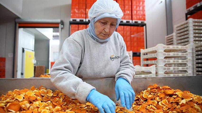 Mühendisliği bırakıp bu işe başladı! Şimdi 50 kişinin patronu oldu, yurt dışına satış yapıyor