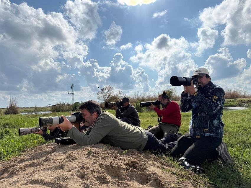 Anında kayıtlara geçti! Kuş gözlem kampında iki sürpriz: Anında kayıtlara Antalya'da ilk kez görüldü