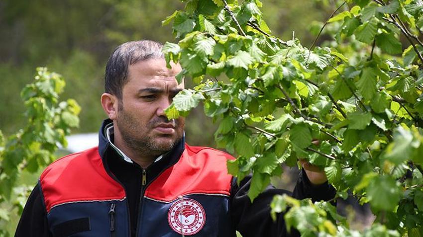 İşte zirai dona karşı alınacak yöntemler! Yurdun dört bir yanı zirai dondan zarar gördü 